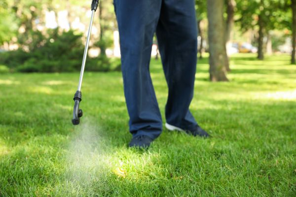 Annapolis Lawn Treatment