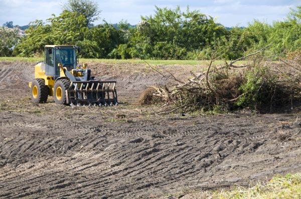 Annapolis Land Clearing